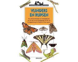 Vlinders En Rupsen