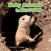 Baby Animals in Burrows