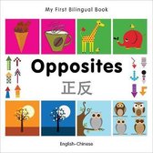 My First Bilingual Book - Opposites