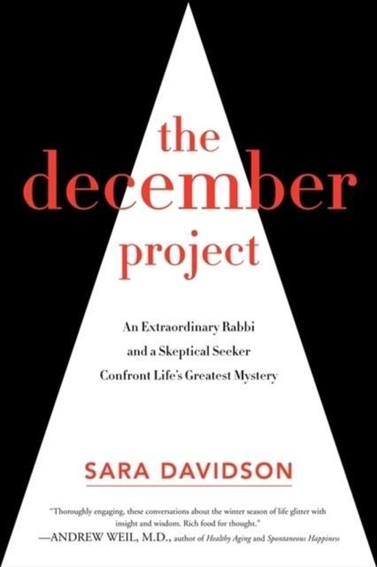 December Project - cover