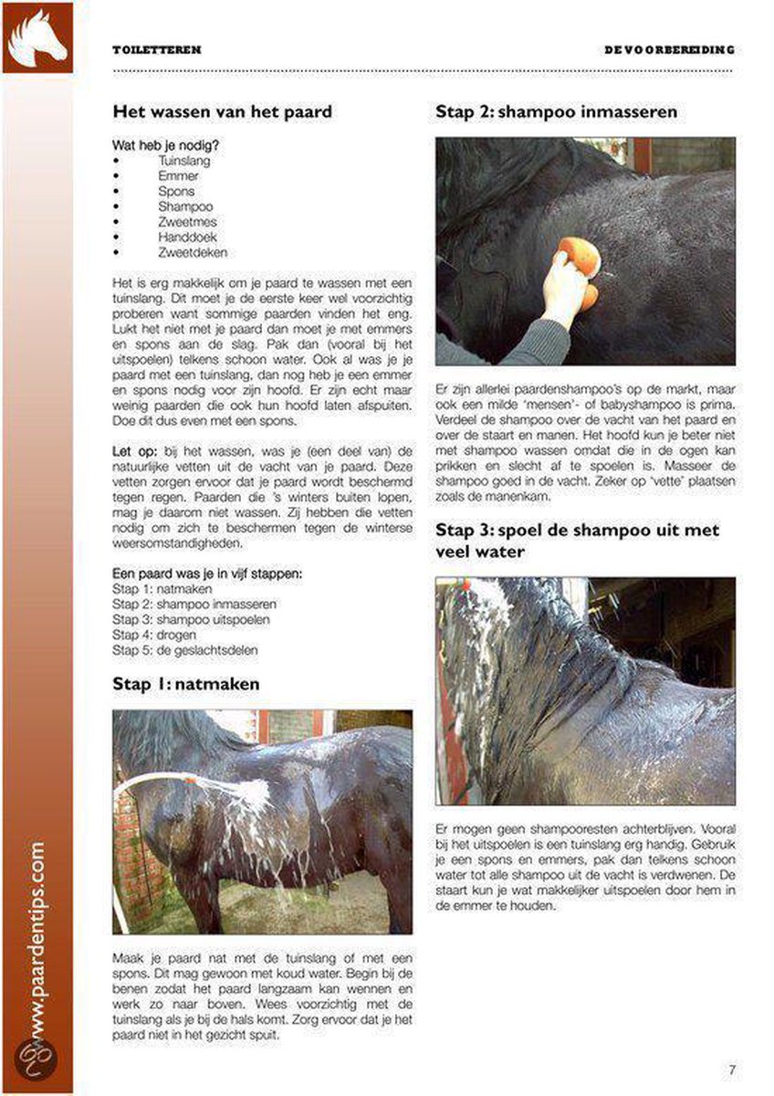Toiletteren (ebook), Rudi Van Den Dijck | 9789078155065 | Boeken | bol.com