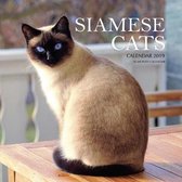 Siamese Cats Calendar 2019