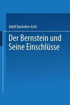Der Bernstein Und Seine Einschla1/4sse