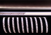 KapegoLED Flexible LED stripe, 335-2x60-12V-4200K-3m, neutral white, constant voltage, 12V DC, power / power consumption: 22,00 W / 22,00 W, length: 3000 mm, EEC: A, IP20