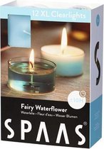 Spaas 24 Clearlights Fairy Waterflower