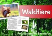Waldtiere - Fotokarten mit Sachinfos