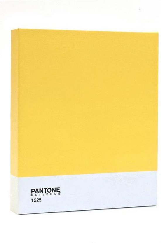Pantone Art Painting Classic - 30 x 25 cm - Jaune