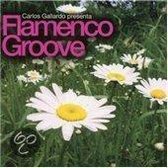 Flamenco Groove