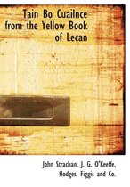 Tain Bo Cuailnce from the Yellow Book of Lecan