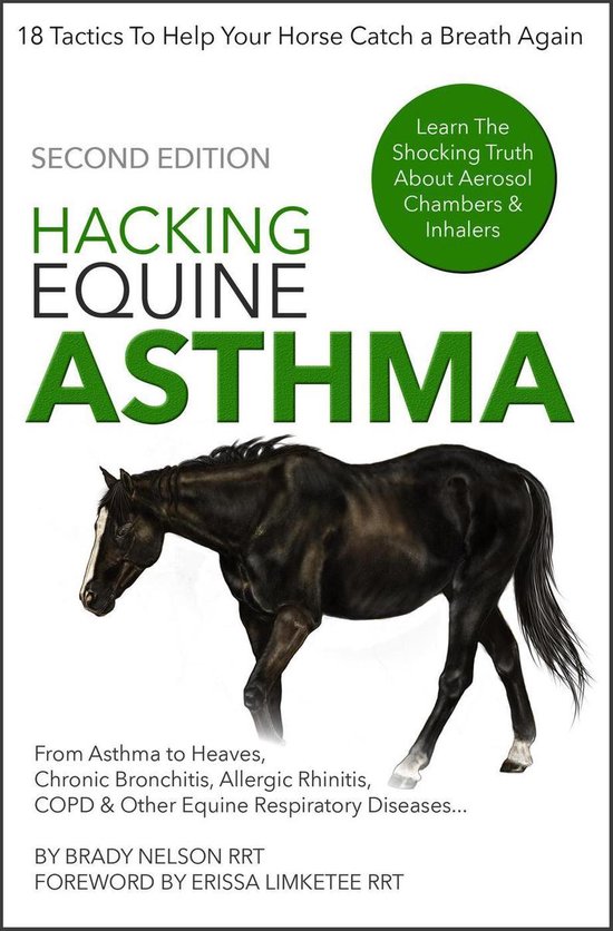 Horse Asthma Hacking Equine Asthma 18 Tactics To Help Your Horse