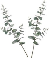 2x Groene Eucalyptus kunsttakken kunstplanten  68 cm - Kunstplanten/kunsttakken - Kunstbloemen boeketten