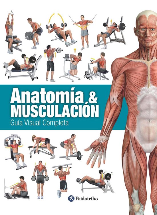 Musculación - Anatomía & Musculación