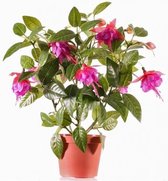 Roze fuchsiaplant kunstplant 30 cm voor binnen -   kunstplanten/nepplanten/binnenplanten