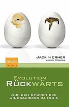 Evolution Ruckwarts