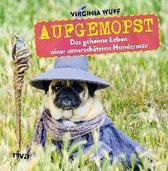 Aufgemopst