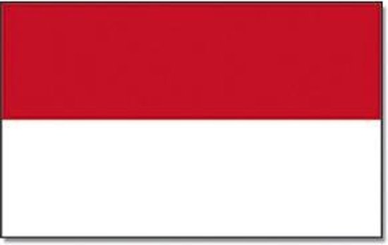Vlag Indonesie 90 x 150 cm feestartikelen - Indonesie landen thema  supporter/fan... | bol.com
