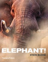 Boek cover Elephant! van Steve Bloom