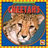 Animals I See at the Zoo- Cheetahs