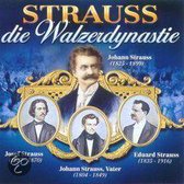 Strauss-Die Walzerdynasti