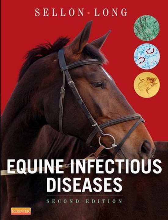 Equine Infectious Diseases E-Book - cover
