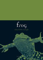 Animal - Frog