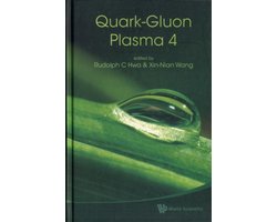 Quark-Gluon Plasma 4