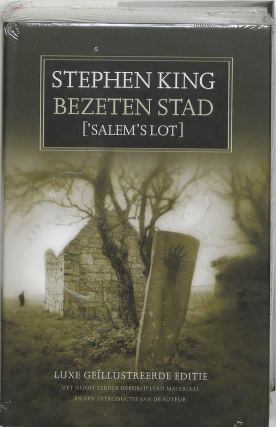De bezeten stad - cover