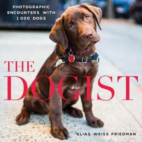 The Dogist - cover