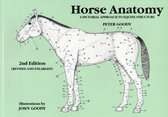 Equine Anatomy:  The Digestive Tract, The Sense Organs & Common Integument 