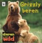 Grizzlyberen