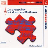Stefan Schaub - Schaub:Die Sonatenform Bei Moz (CD)