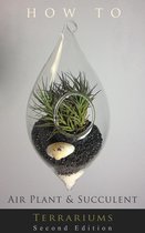 How to... Air Plant and Succulent Terrariums