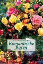 Romantische Rosen