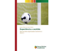 Experiência e sentido