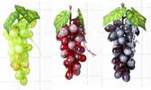 Namaak druiven - 3 verschillende trosjes met 36 druiven - kunststof / decoratie druiven - Lengte 17 cm