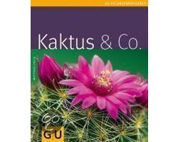 Kaktus & Co.
