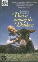 Down Among the Donkeys