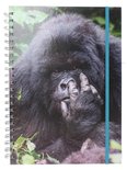 The Comedy Wildlife Notitieboek A4 Gorilla
