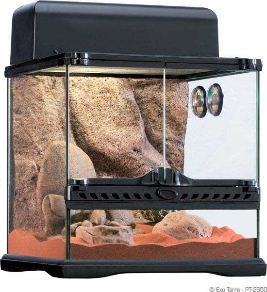 EXO TERRA Terrarium Exo terra plastic faunarium 37 x 22 x 25 cm