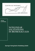Nonlinear Excitations in Biomolecules
