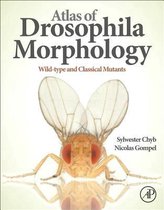 Atlas of Drosophila Morphology