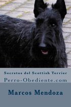 Secretos del Scottish Terrier