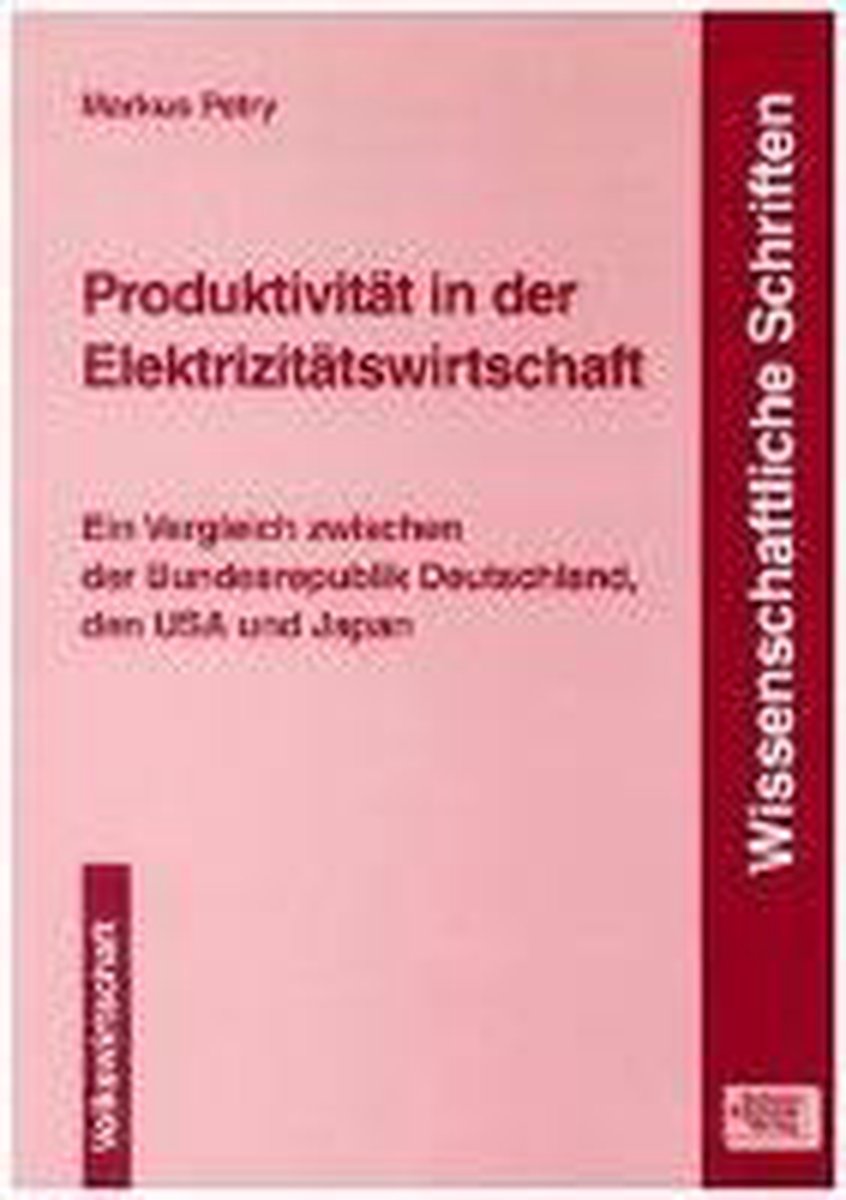 Produktivität in der Elektrizitätswirtschaft - Markus Petry