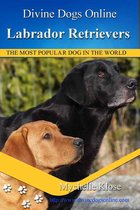 Divine Dogs Online - Labrador Retrievers