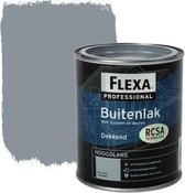 Flexa Professional Buitenlak Dekkend Hoogglans Ral 7001 750 Ml