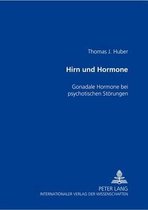 Hirn Und Hormone