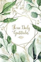 Three Daily Gratitudes