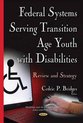 Federal Systems Serving Transition Age Youth with Disabilities