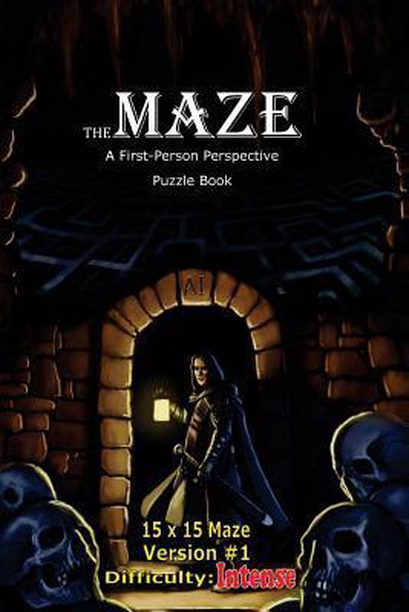 The Maze: A First-person Perspective Puzzle Book-the Maze van Brad Hough