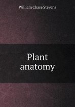 Plant anatomy